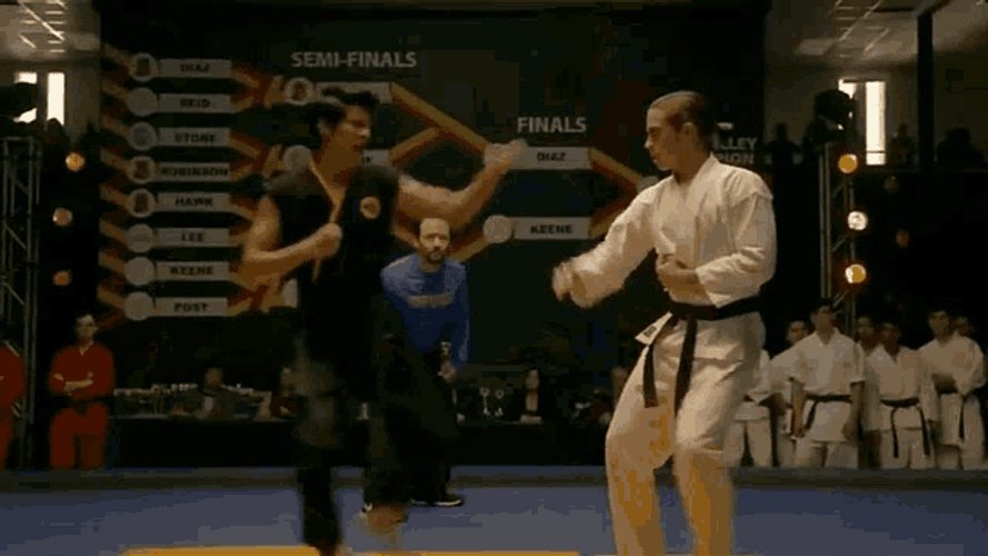 Karate Cobra Kai Comedy Fight GIF