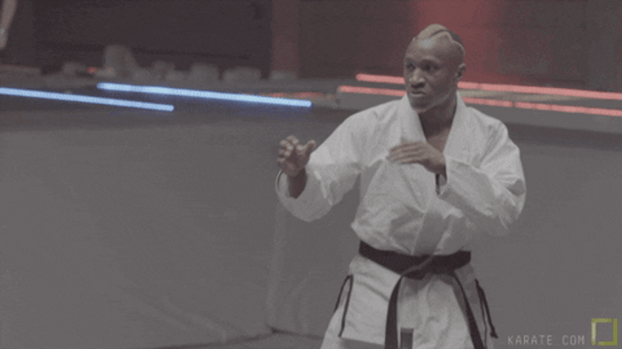 Karate Combat Sport GIF