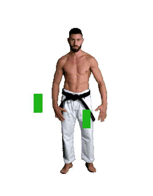 Karate Gabriele Cera Bow GIF