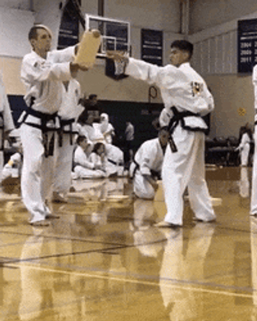 Karate Kick Wood Board GIF