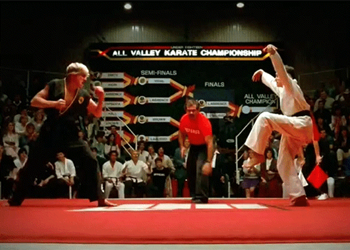 Karate Kid Knock Out GIF