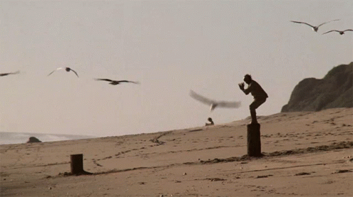 Karate Kid Mr Miyagi Crane Kick GIF