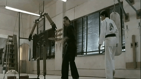 Karate Kid Practice GIF
