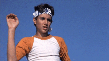 Karate Kid Ralph Macchio GIF