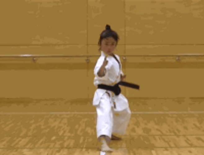 Karate Girl Animation GIF 