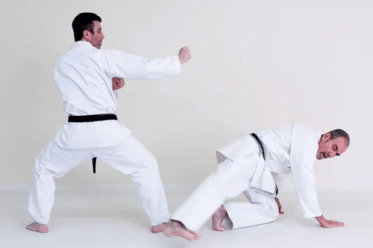 Karate Martial Arts Basic Strike GIF
