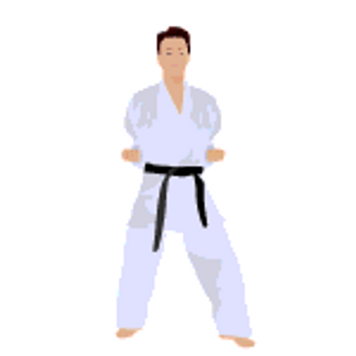 Karate Martial Arts GIF