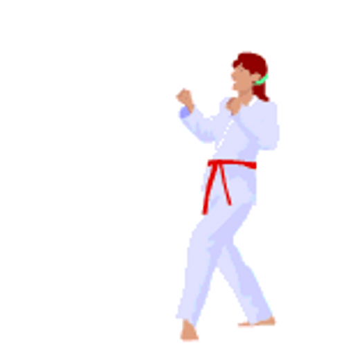 Karate Taekwondo Straight Kick GIF