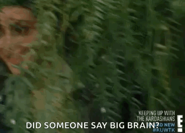 Kardashian Did Someone Say Big Brain Meme GIF