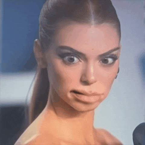 Kardashian The Kardashian Gif GIF