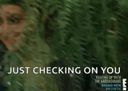 Kardashians Just Checking In You GIF