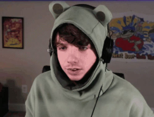 Karl Jacobs Frog Hoodie GIF