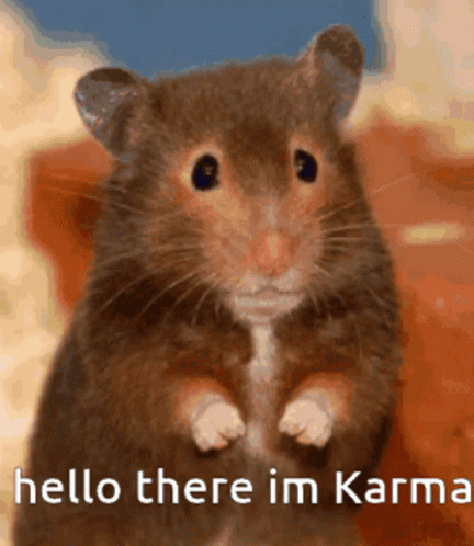 Hello There I'm Karma Hamster GIF