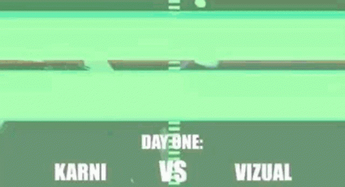 Karni Vs Visual Green Background GIF