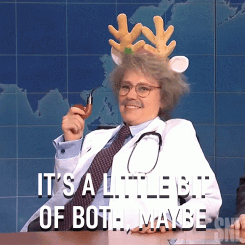 Kate McKinnon Both Maybe SNL GIF