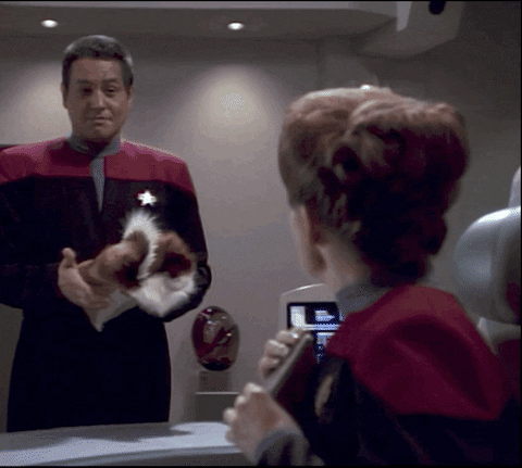 Kathryn Janeway Now Says To Chakotay GIF