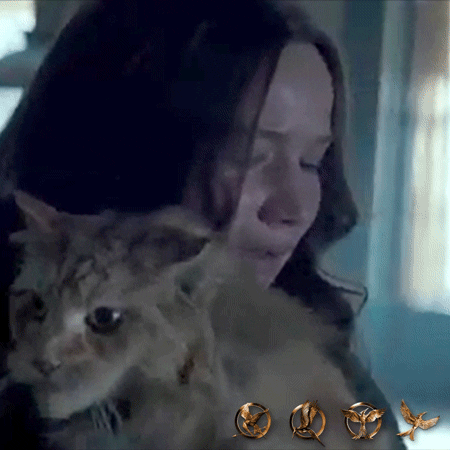 Katniss Everdeen Hugging A Cat GIF