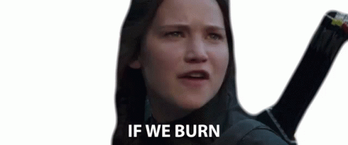 Katniss Everdeen You Burn GIF