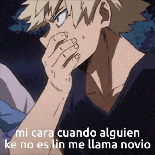 Katsuki Bakugou Speechless Covering Mouth GIF