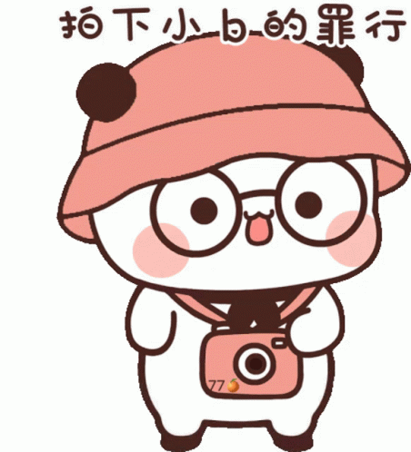 Kawaii Carton Taking Picture GIF