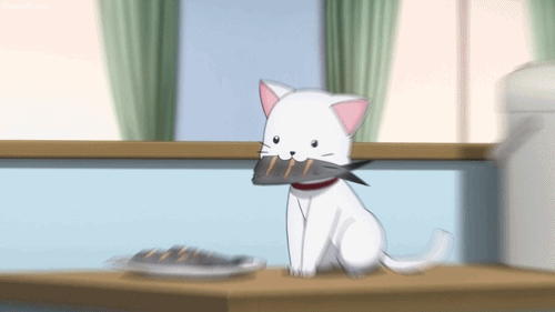 Kawaii Cat Lunch Time GIF