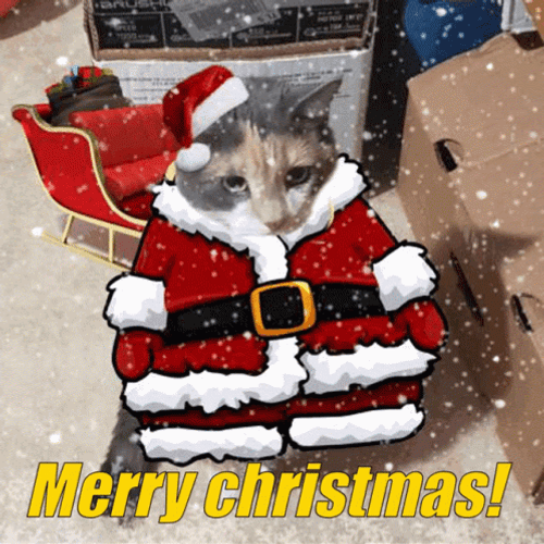 Kawaii Christmas Santa Cat GIF