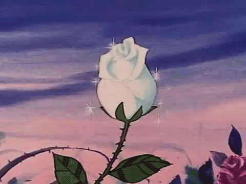 Kawaii Pink White Rose GIF