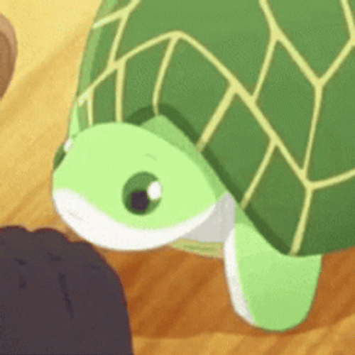 Kawaii Turtle Anime Cute Hi GIF 