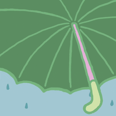 Kawaii White Cat With Umbrella GIF