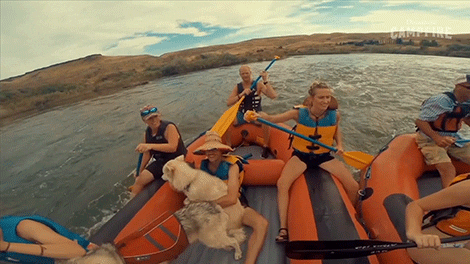 Kayaking Outside City Proper GIF