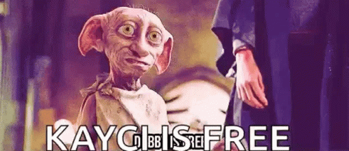 Kayci And Dobby Is Free GIF