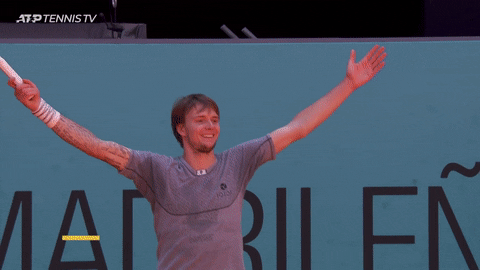 Kazakhstan Alexander Plays Tennis GIF