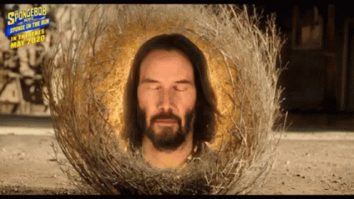 Keanu Reeves In A Nest GIF