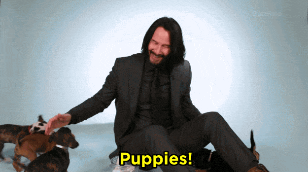 Keanu Reeves Loves Puppies GIF