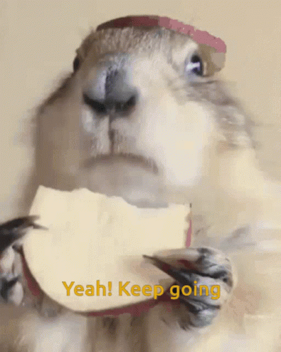 Keep Going Hamster Eating Apple GIF