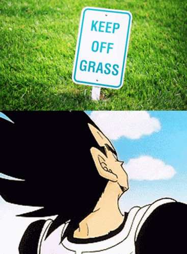 Keep Off Grass Vegeta GIF