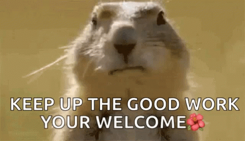 Keep Up The Great Work Prairie Dog GIF