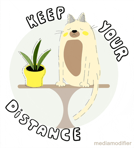 Keep Your Distance With Cute Cat Animated GIF