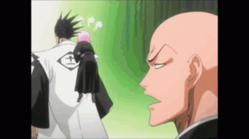 Kenpachi Bleach Ikkaku GIF
