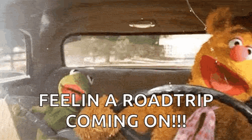 Kermit and Fozzie Driving Car