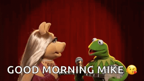 Kermit Dancing And Guitar On Stage With Mike GIF