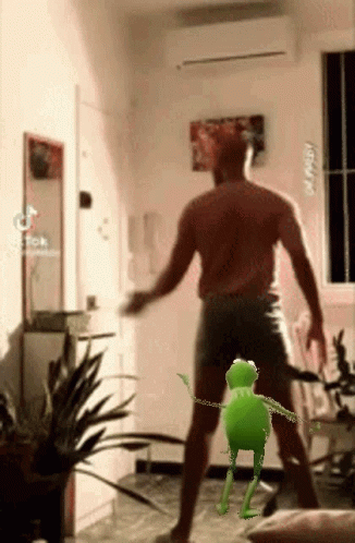Kermit Dancing Beside Man Dancing GIF