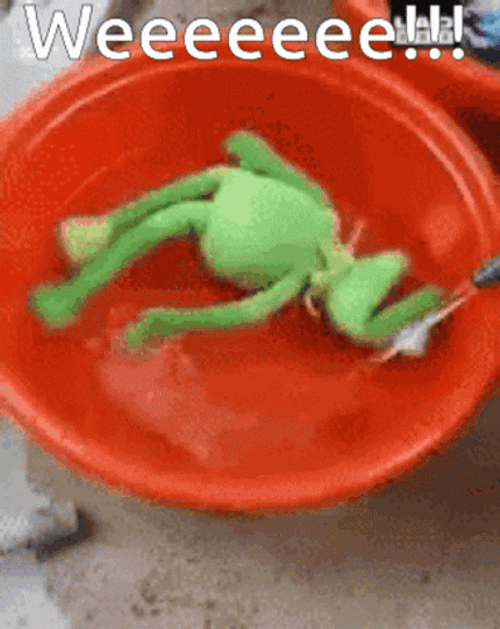 Kermit Dancing In Bowl Of Water GIF