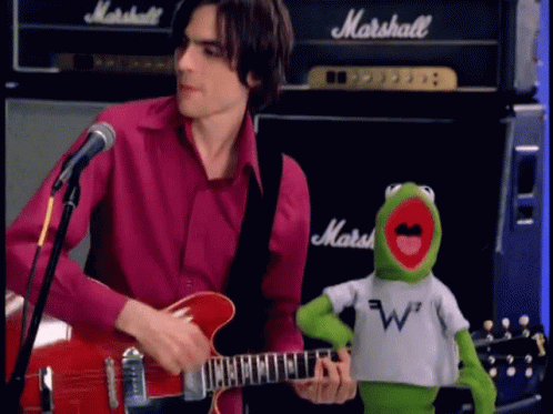 Kermit Dancing With Weezer Brian Bill GIF