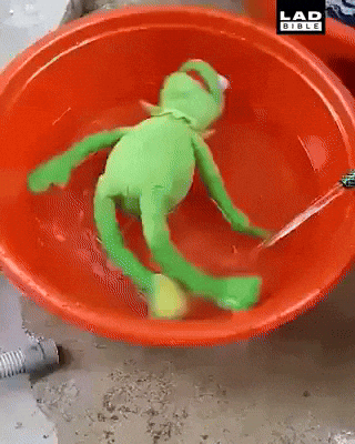 Kermit Floating In Water Meme GIF