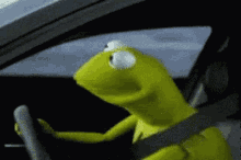 Kermit Frog Staring Driving GIF