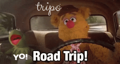 Kermit Gerbert Road Trip Meme GIF