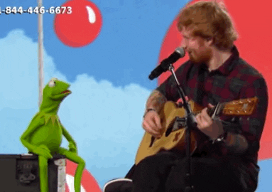 Kermit Jamming With Ed Sheeran Meme GIF