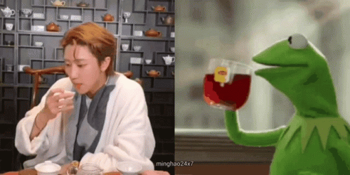 Kermit Tea And Seventeen The 8 Kpop GIF