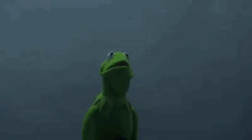 Kermit The Frog And Darth Vader Are Standing Next To Each Other In A Dark Room . GIF